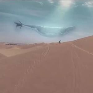 Meet your Posher, Jared